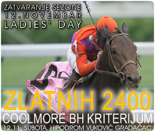BET OF THE DAY